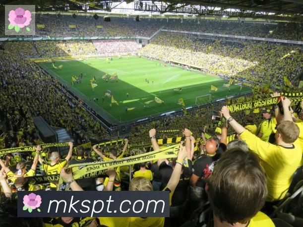 mksports荣誉